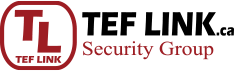 Security, Surveillance, Access Control, Networking Logo